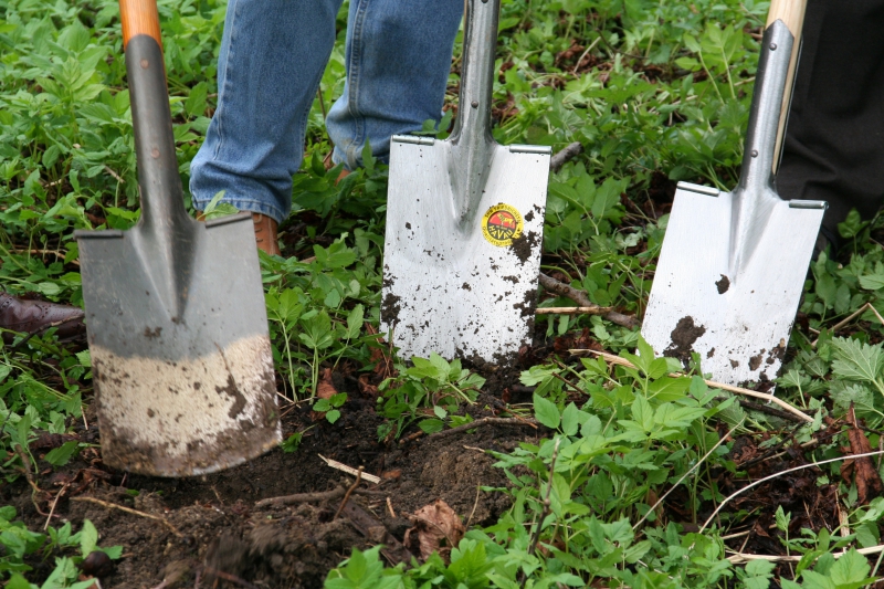 pepiniere-LA ROCHETTE-min_work-lawn-flower-tool-green-backyard-1103633-pxhere.com